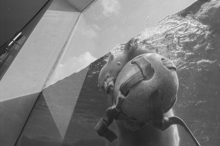A person is submerged underwater, wearing a mask with a snorkel, and is looking at a skull-shaped object encased in glass.