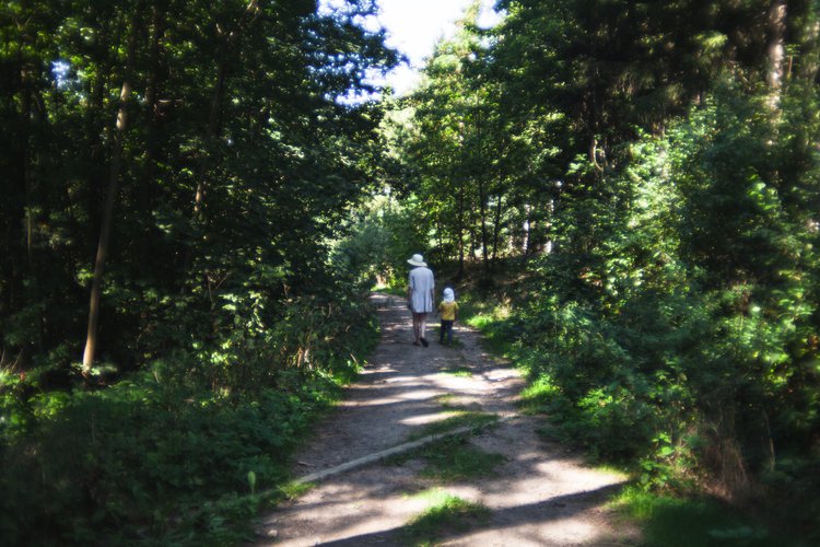 A woman and a young child walking along a shaded forest trail during daytime.